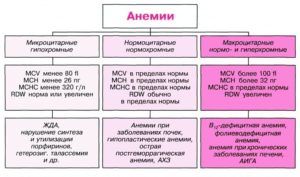 Какая анемия?