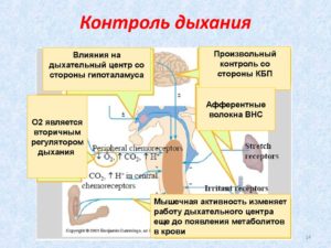 Как перестать контролировать дыхание