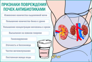 Боли в почках после принятия антибиотика