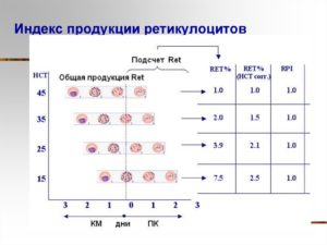 Индекс продукции ретикулоцитов