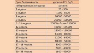 Курс ХГЧ при крипторхизме