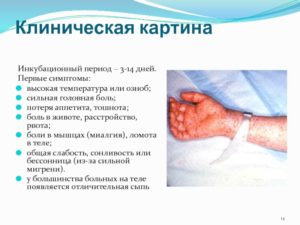 Боли в животе, тошнота, озноб, температура
