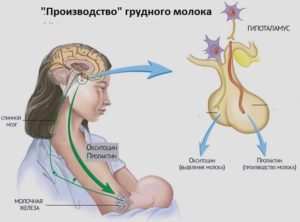 Болит грудь, высокий пролактин, гормоны