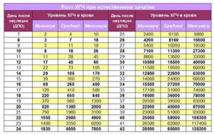 Большой рост хгч