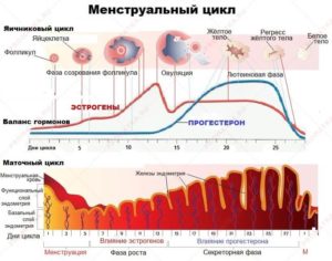 Изменение характера месячных