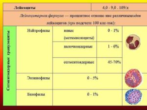 Лейкоциты 4.0