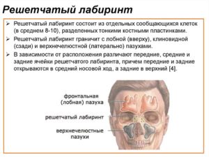 Кистовидное образование решетчатого лабиринта