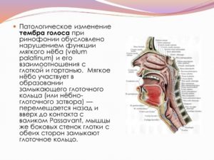 Изменение тембра голоса при повороте головы