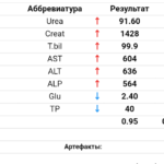 Болит горло, высокая температура (5 суток) тошнота