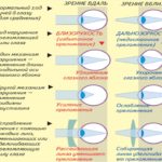 Крутит живот после лактофильтрума