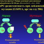 Боль в горле, температура 37.1, переодически проходит и снова появляется