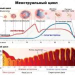 Болит нога после укола