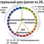 Иммуноглобулин Е у ребенка